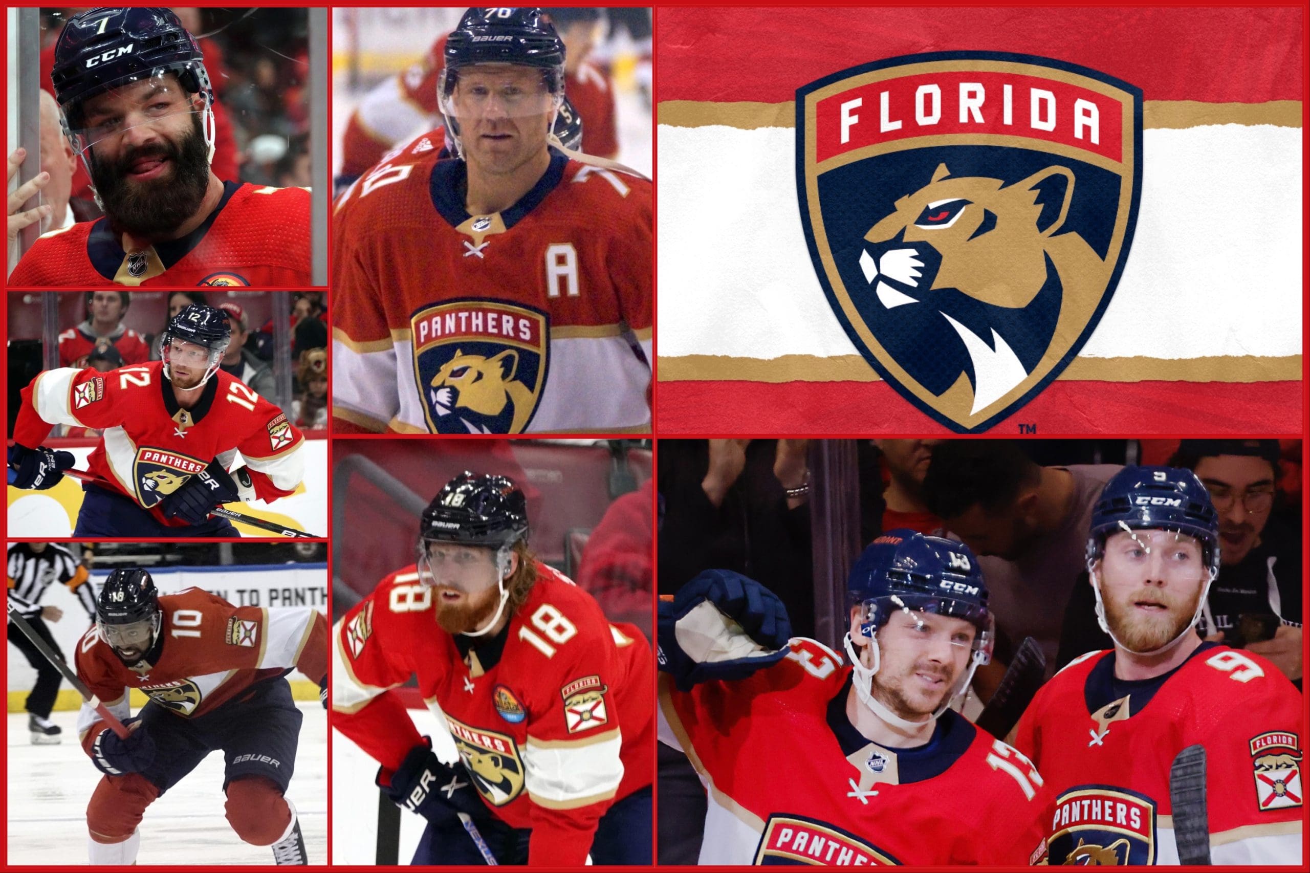 florida panthers players 2022