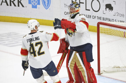 Florida panthers