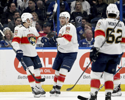 Florida panthers