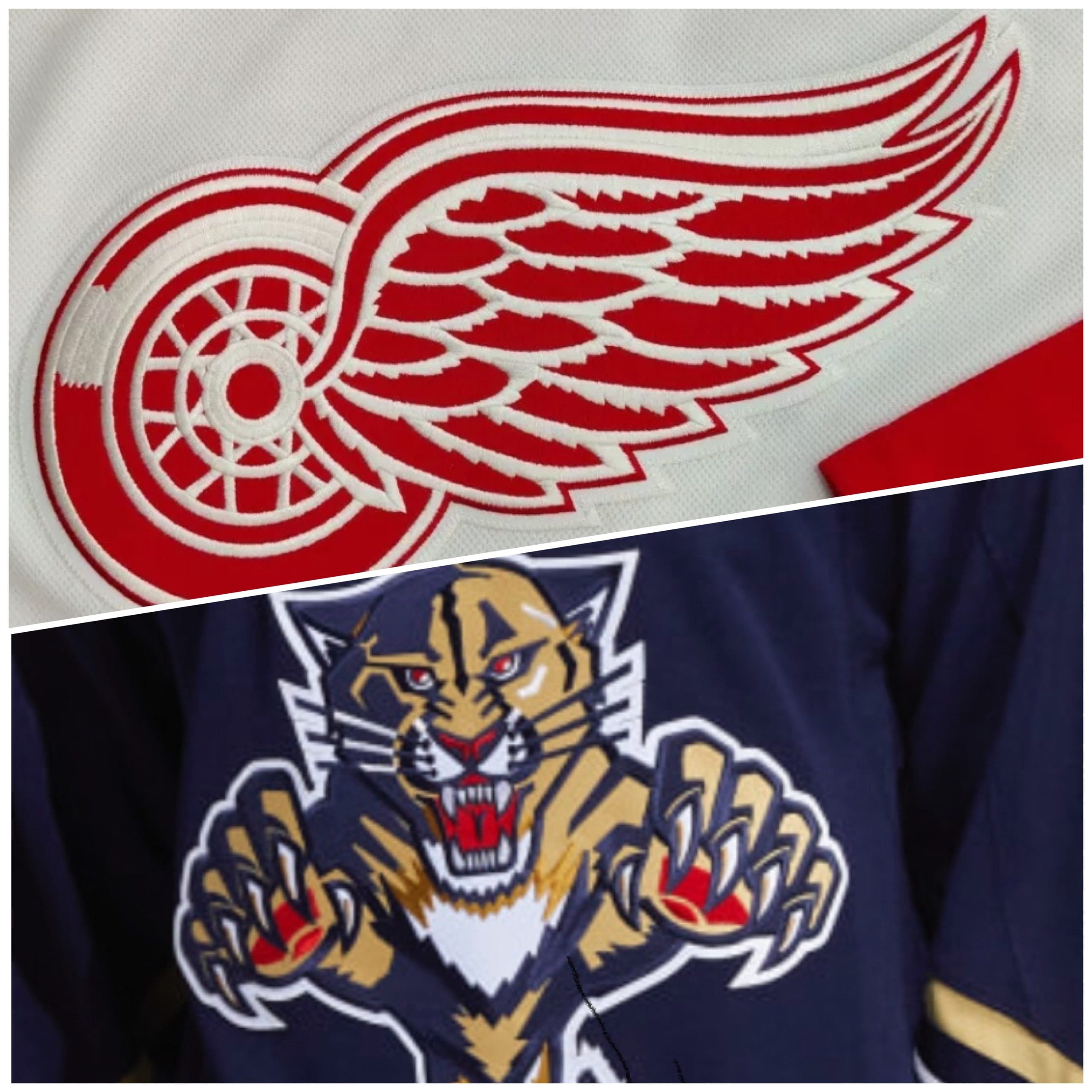 Wings Panthers Detroit Florida
