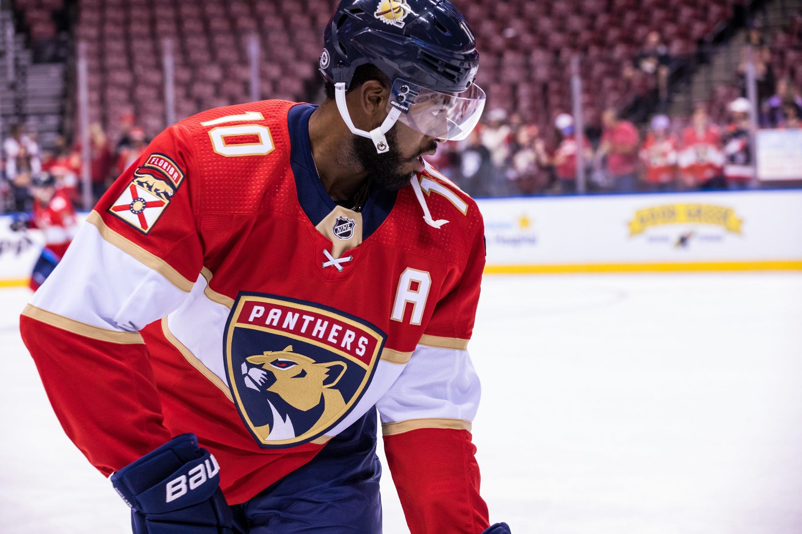 Anthony florida panthers duclair