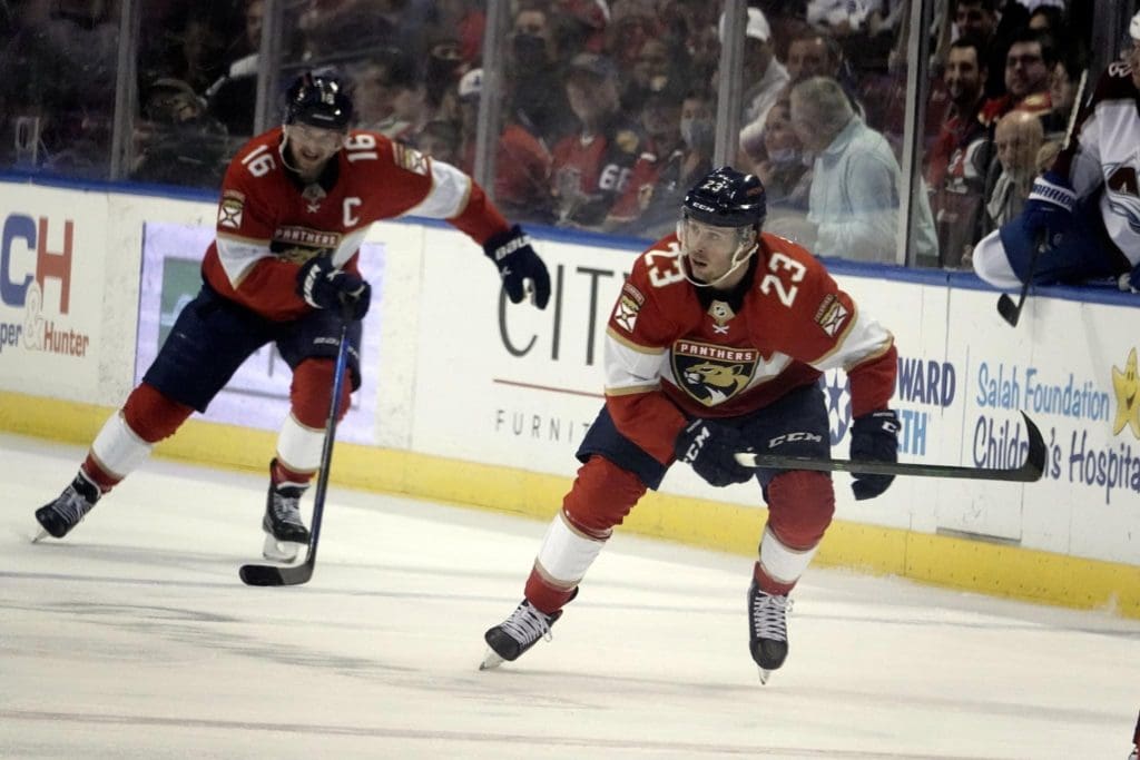 Florida panthers