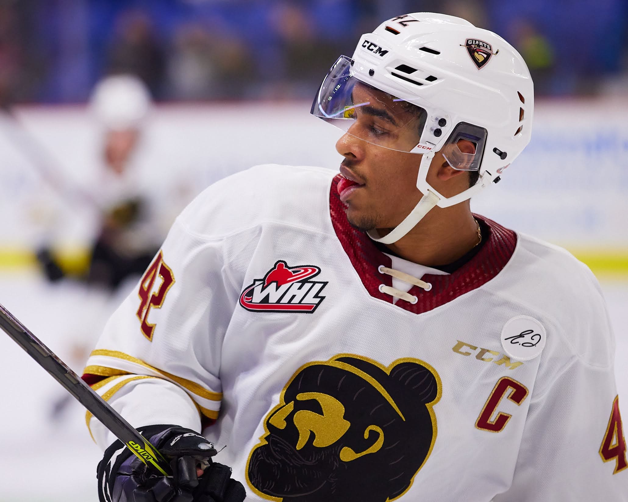 Florida panthers prospects