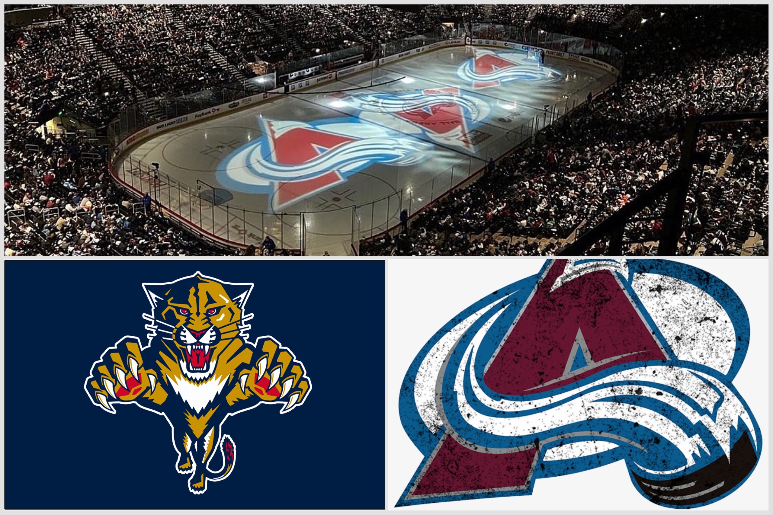 Florida panthers avalanche