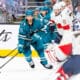 Florida panthers sign