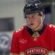 Florida panthers