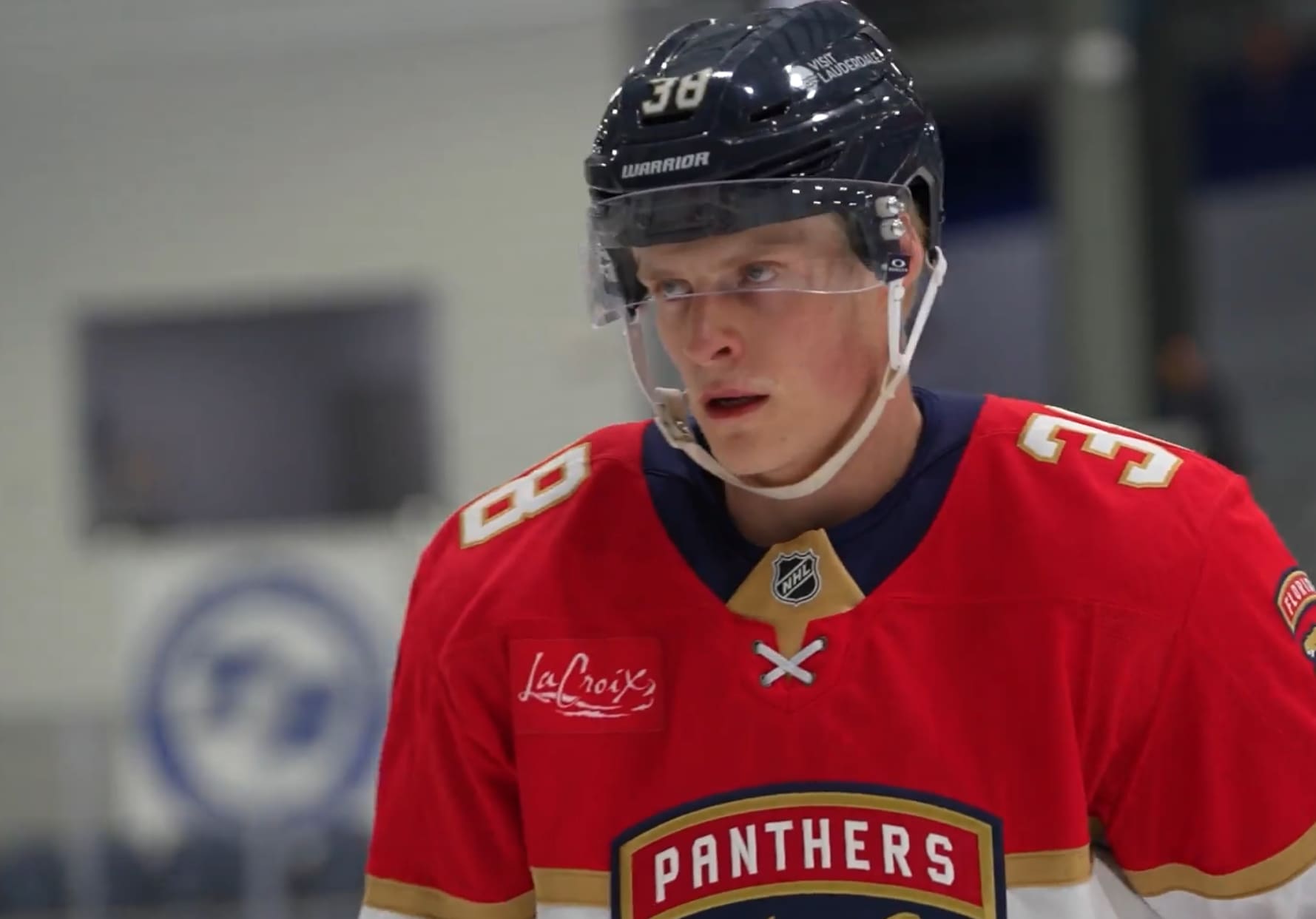 Florida panthers