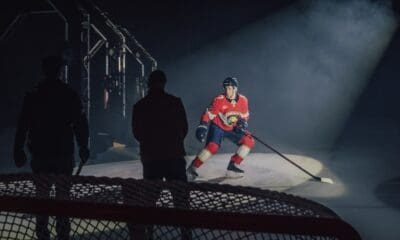 Florida panthers