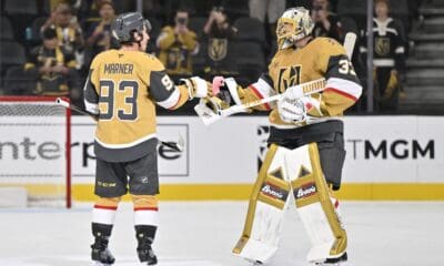Vegas knights panthers