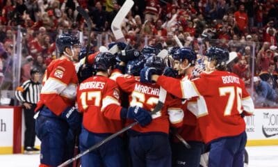 Florida panthers